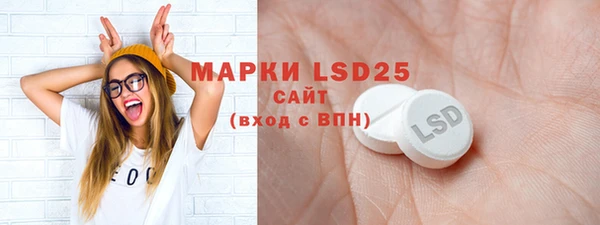 винт Бородино