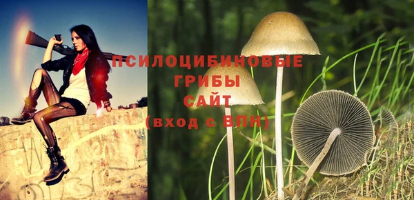эйфоретик Бронницы