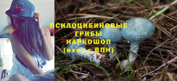 винт Бородино