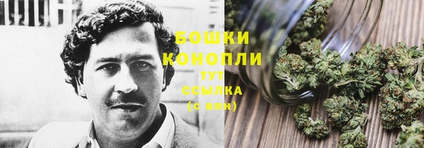 эйфоретик Бронницы