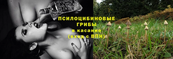 винт Бородино